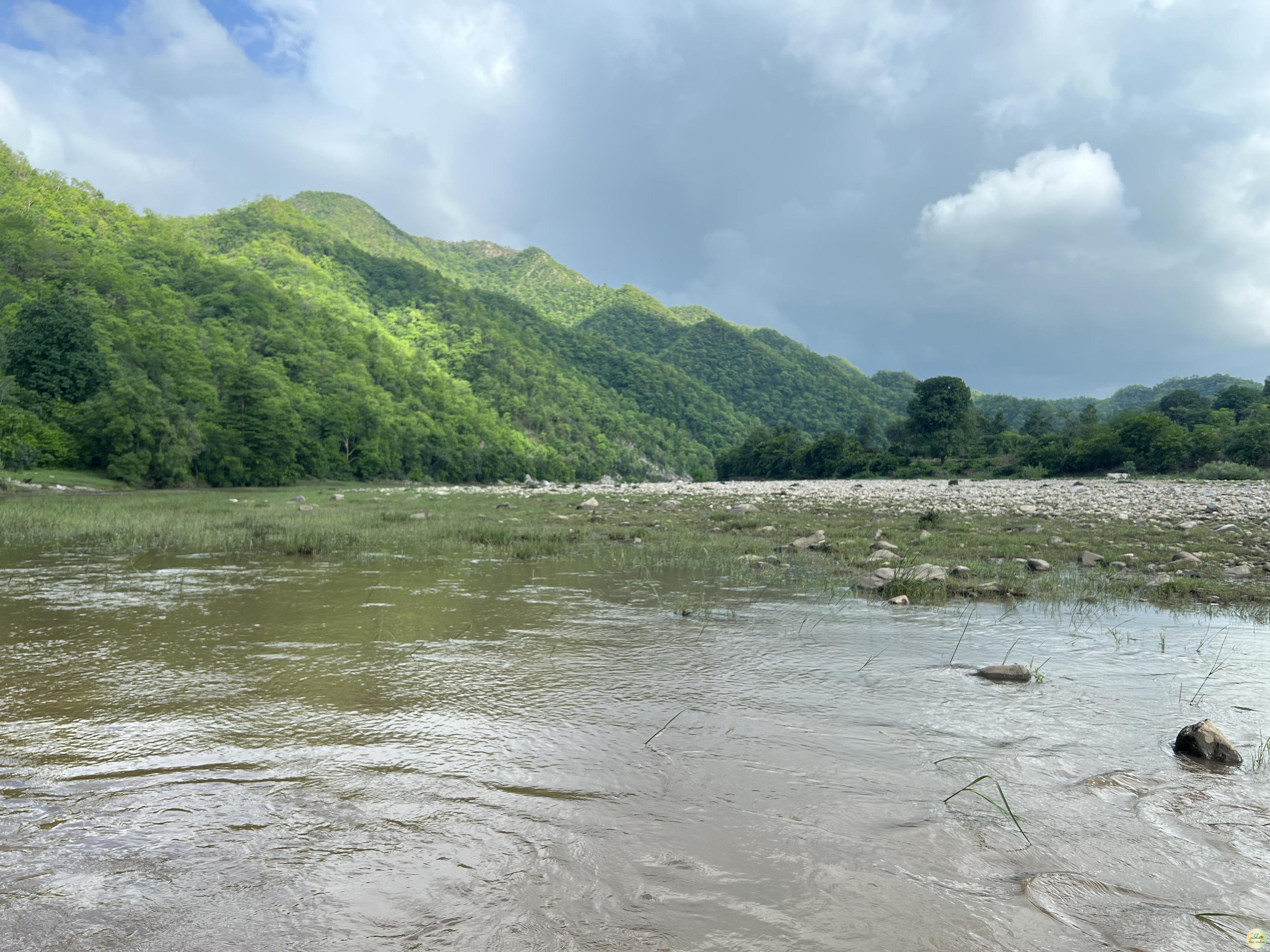 Phulwari ki Nal Wildlife Sanctuary Udaipur