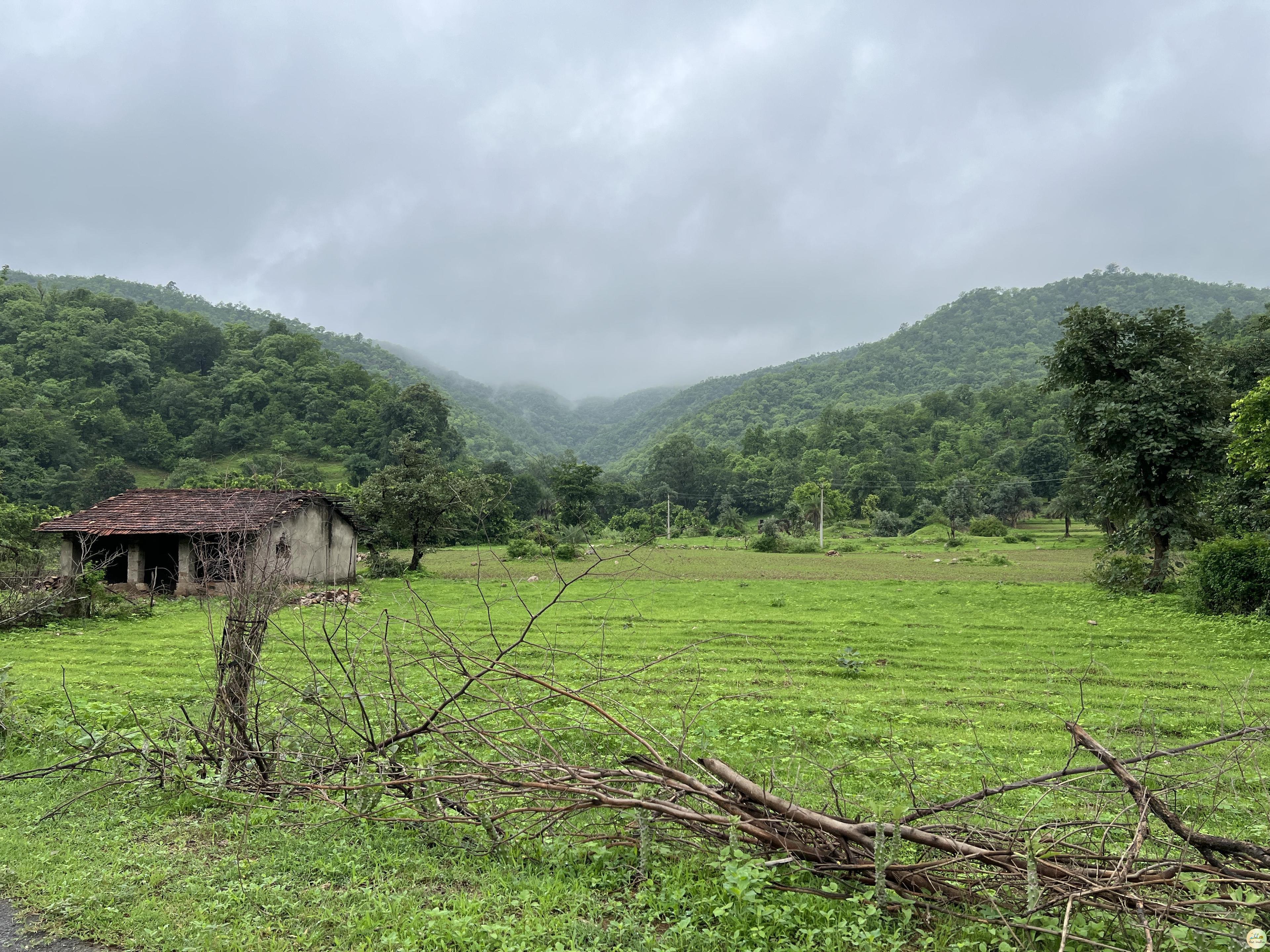 Phulwari ki Nal Wildlife Sanctuary Udaipur