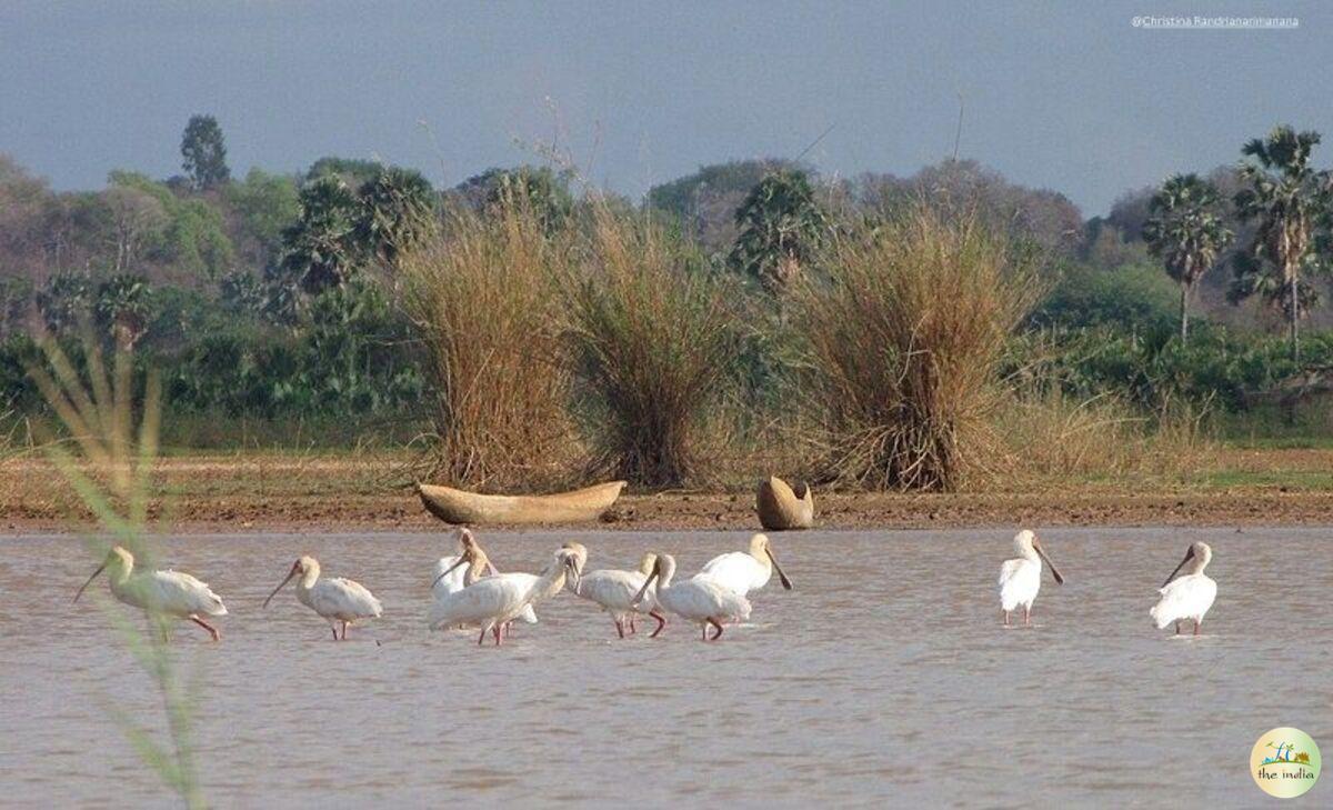 Pitti Bird Sanctuary Kavaratti