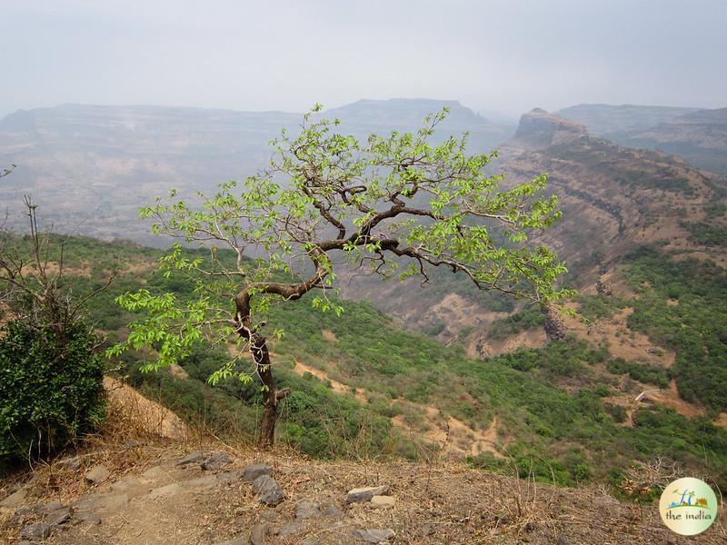 Rajmachi Fort Pune