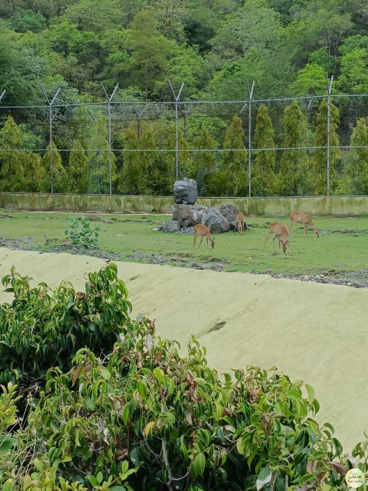 Sardar Patel Zoological Park Statue of Unity