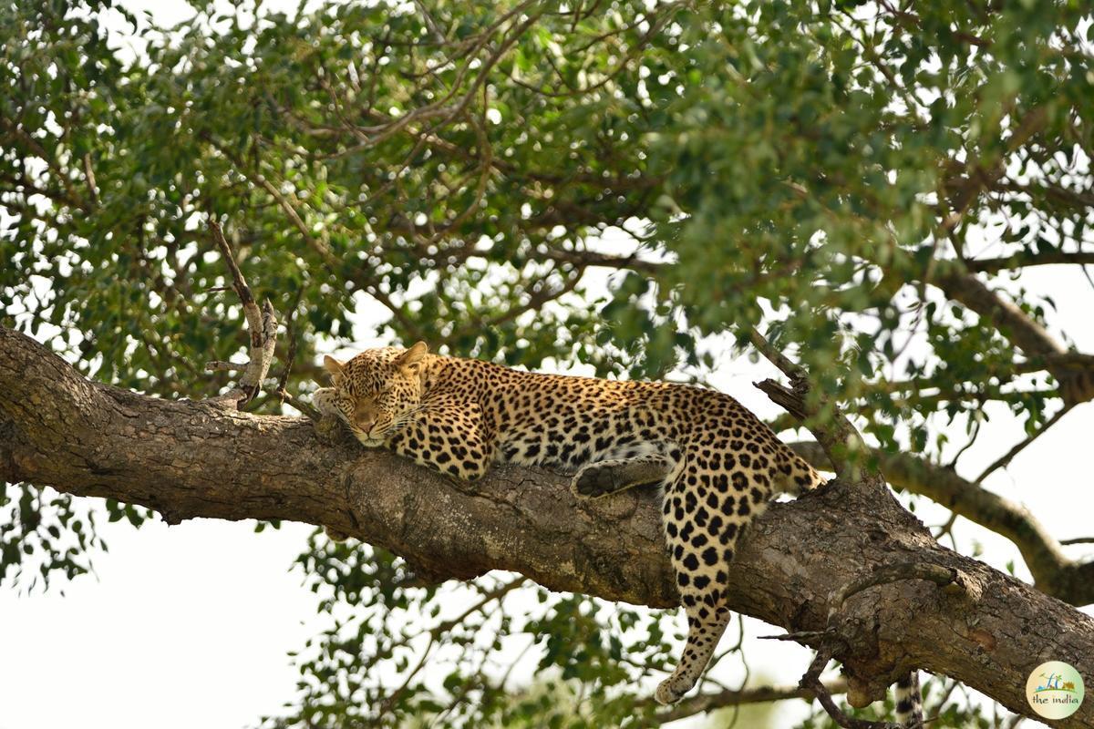 Satpura National Park Hoshangabad