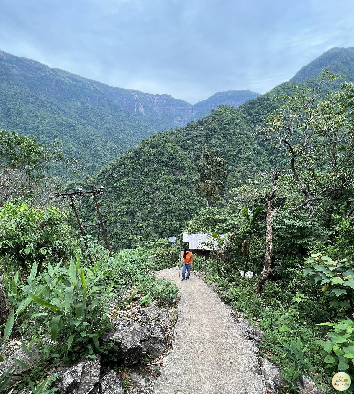 Single Living Root Bridge Nongriat Cherrapunji (Sohra)