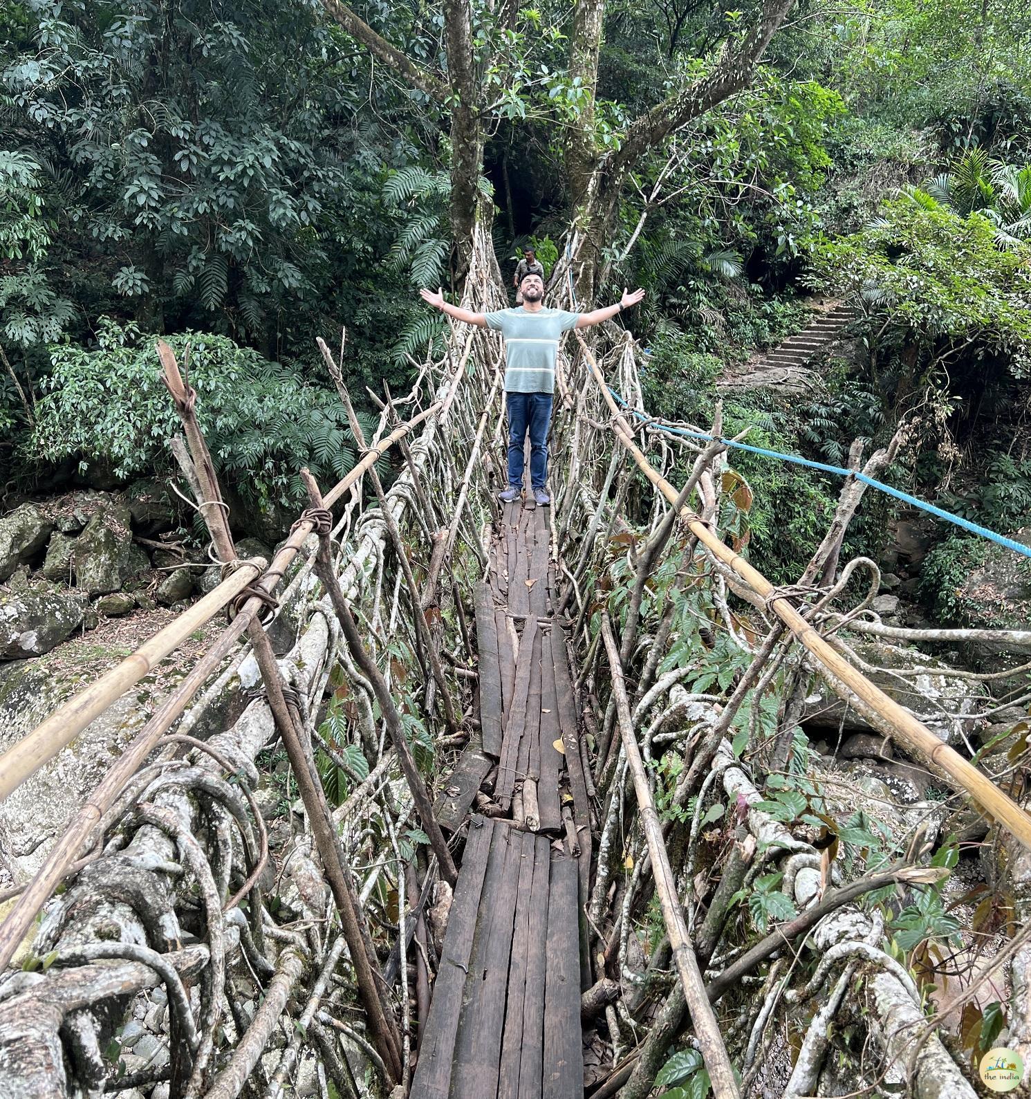 Single Living Root Bridge Nongriat Cherrapunji (Sohra)