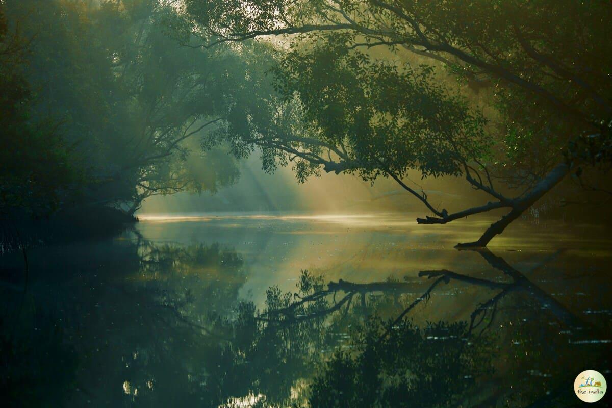 Sundarbans National Park Gosaba