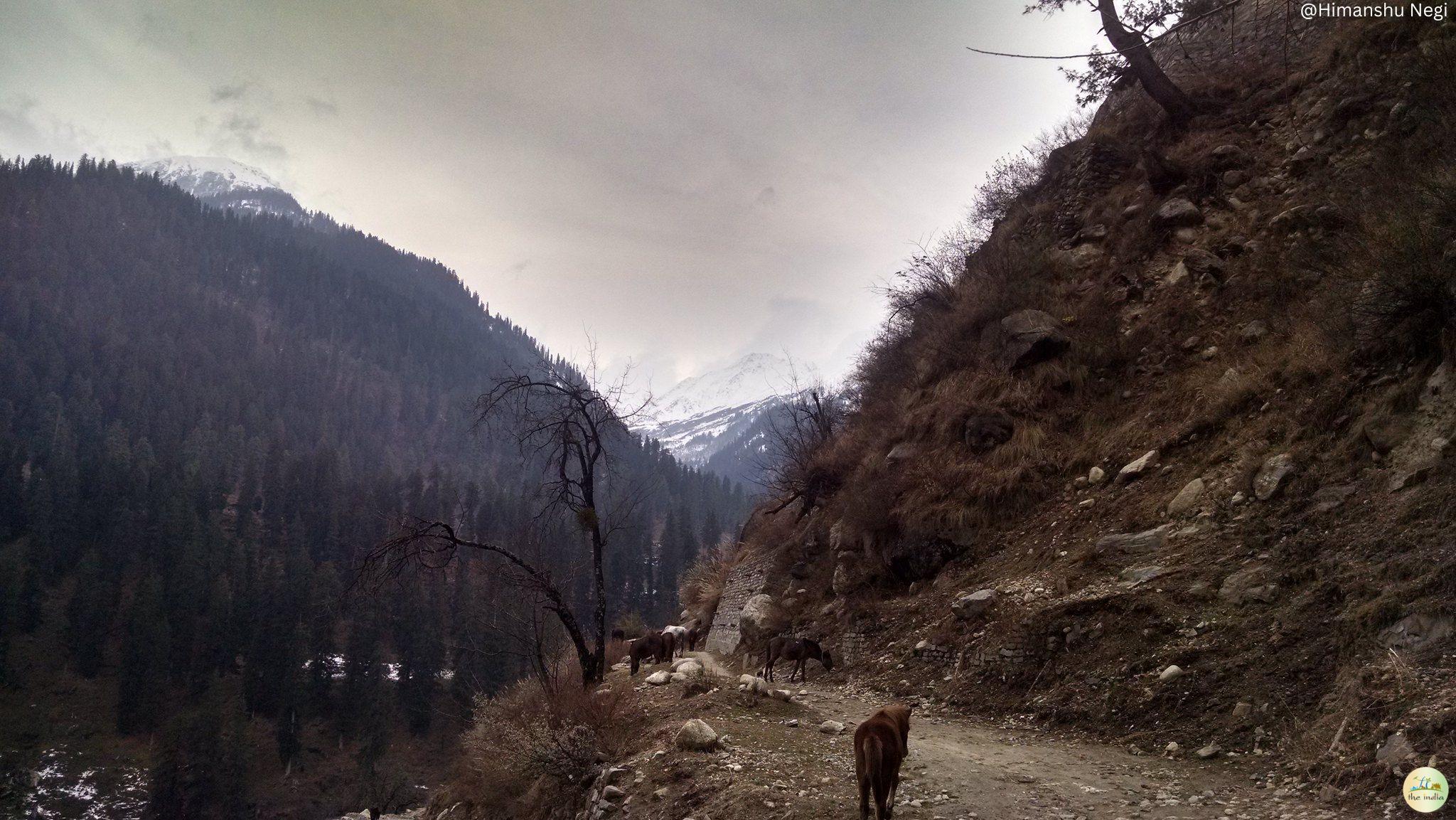 Tosh Valley Trek Kasol