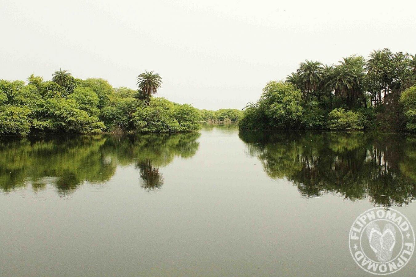 Keoladeo National Park Bharatpur