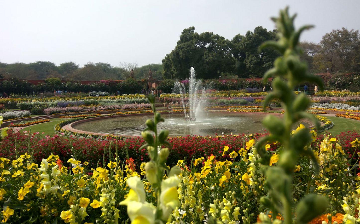 Mughal Garden New Delhi