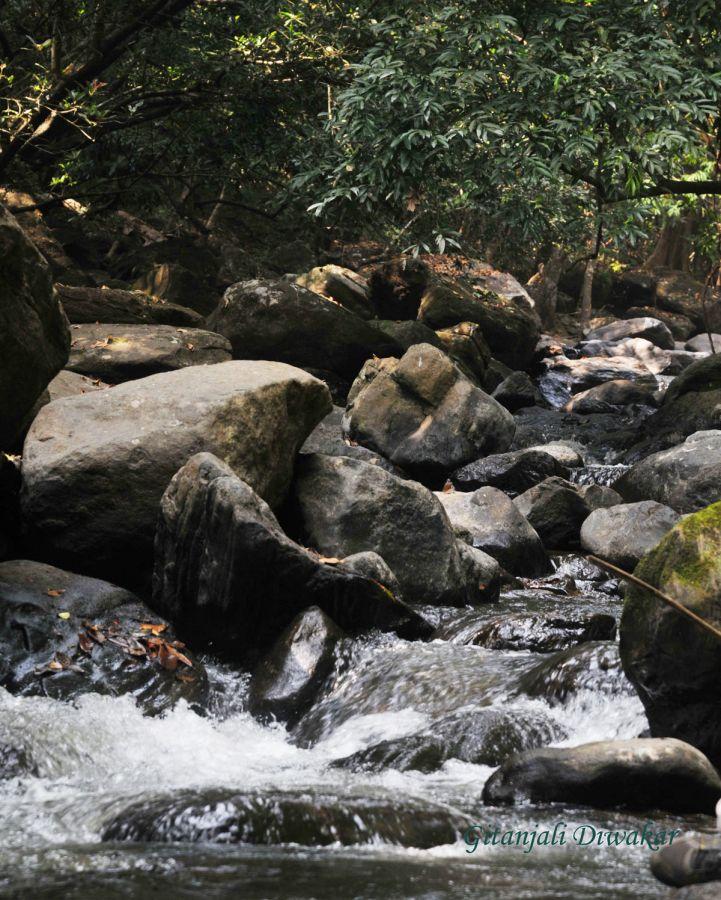 Keezharkuthu Waterfalls Thodupuzha