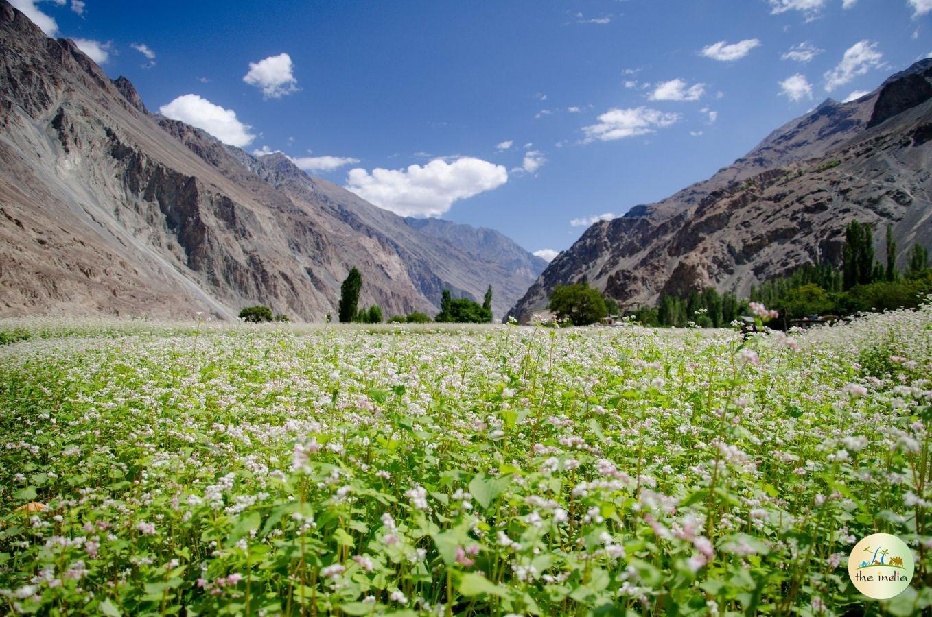 Turtuk Leh