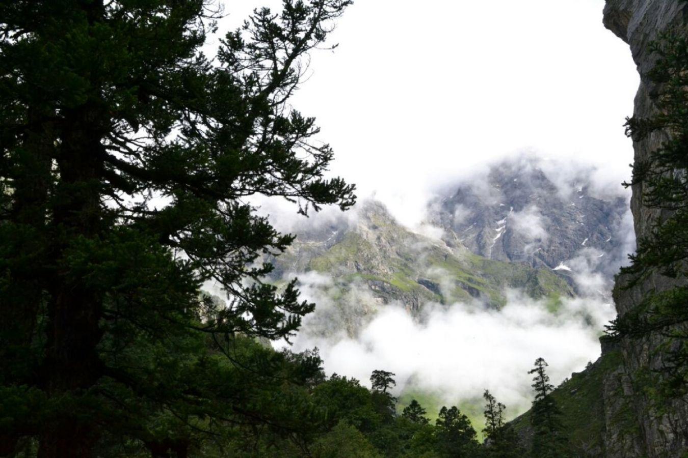 Valley of Flowers Chamoli