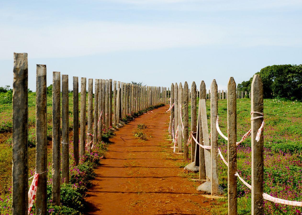 Kaas Plateau Satara