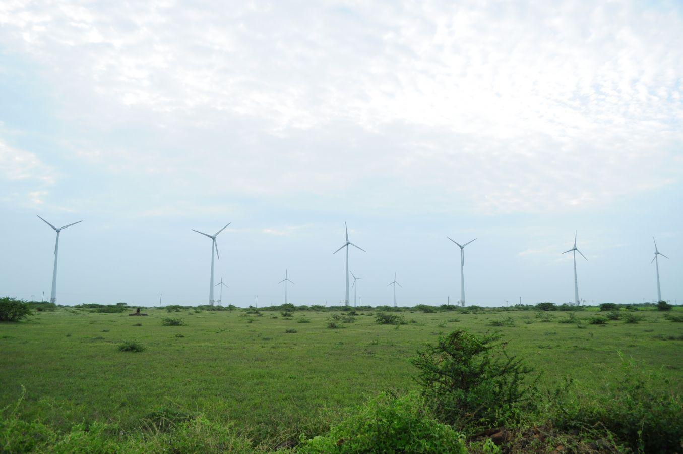 Gaga Wildlife Sanctuary Dwarka