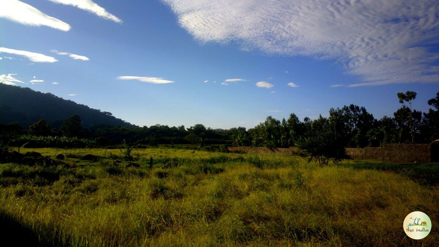 Yelagiri Hills Yelagiri