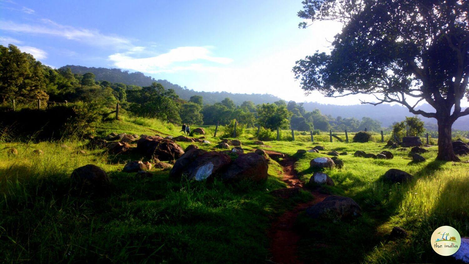 Yelagiri Hills Yelagiri