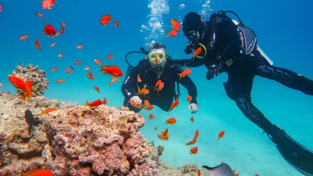 20 Best Places To Experience Scuba Diving In India for Beginners