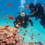 Places for Scuba Diving In India for Beginners