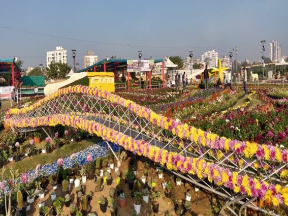 Ahmedabad Flower Festival 567x425 