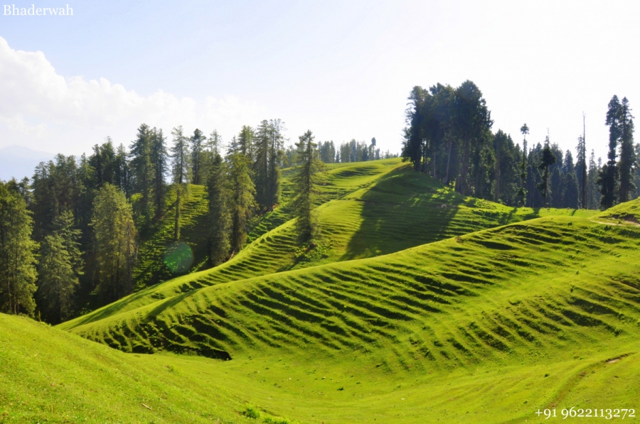 Yusmarg - unique places to visit in kashmir