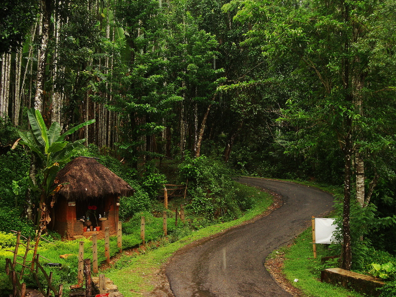 Agumbe