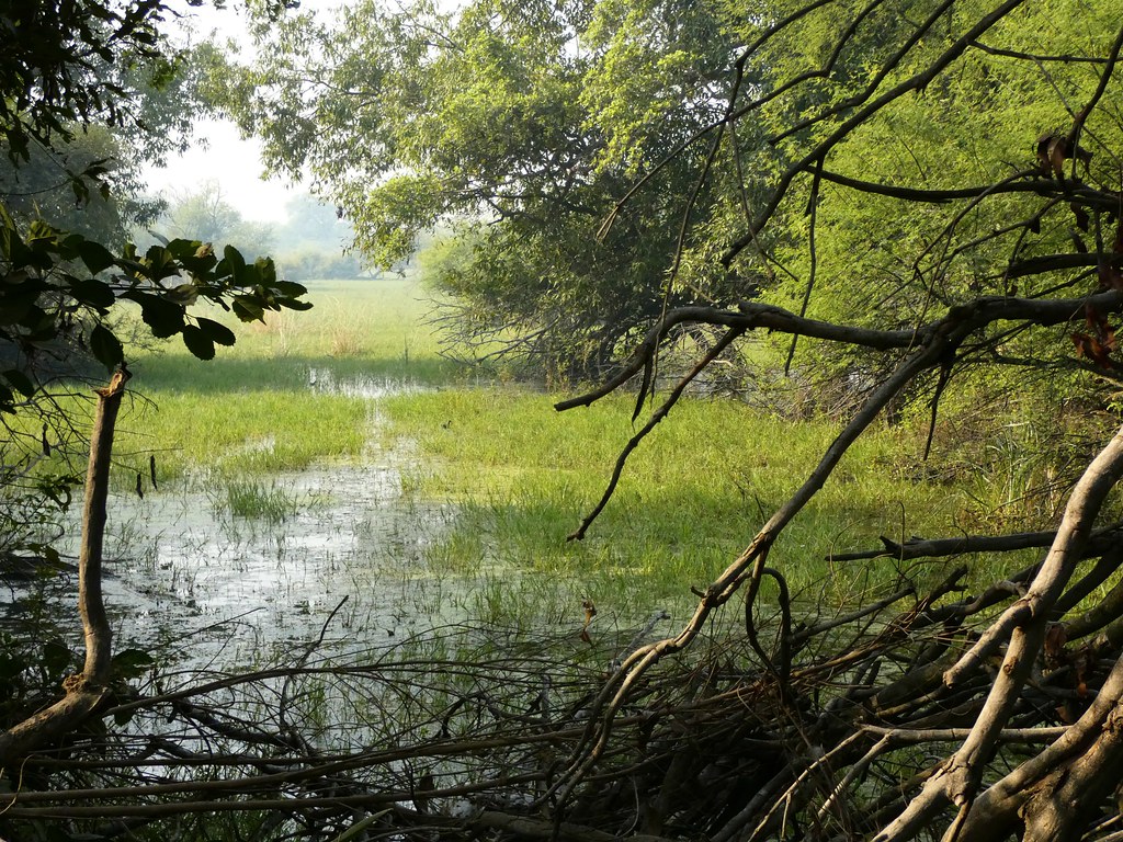 Designation of Ramsar Sites in India