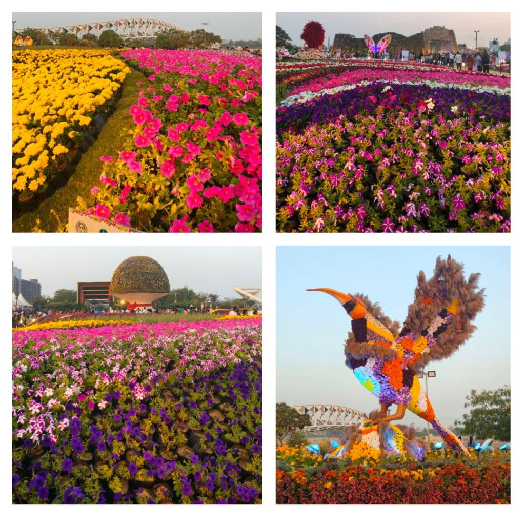 Glow garden at a Flower Show in Ahmedabad